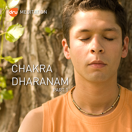 Chakra Dharanam 1 - Dru Meditation's approach on the first 4 chakras (MP3)