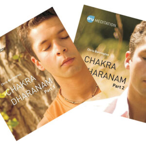 Chakra Dharanam 1 & 2 - Dru Meditation's approach on the chakras (MP3)