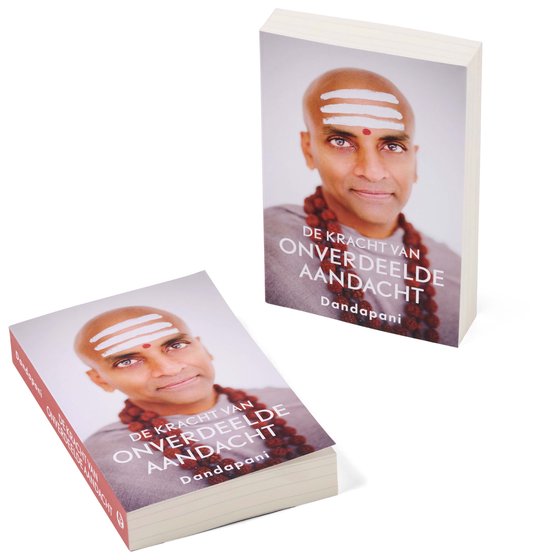 De kracht van onverdeelde aandacht - Dandapani - Afbeelding 4