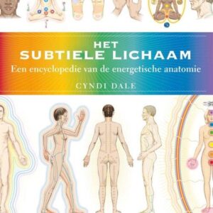 Het subtiele lichaam - Cyndi Dale